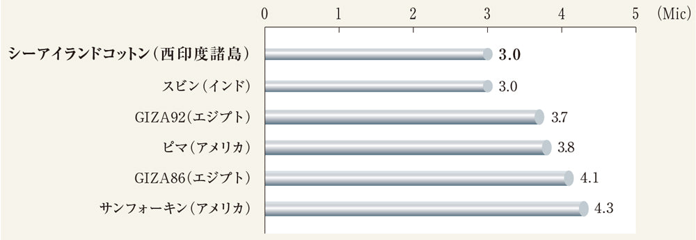 幻の綿」と称されるシーアイランドコットン - ARCODIO（アルコディオ）